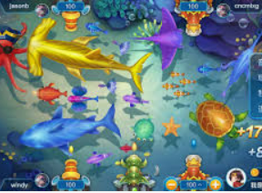 k·yun新网站登录下载app免费版